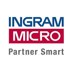 MN_IT_PARTNERS_micro